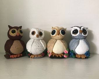 Small Owl Nightwatch